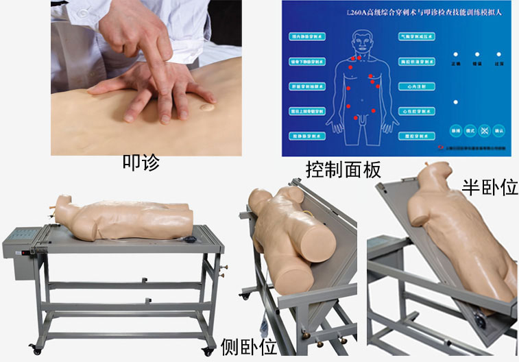 高級綜合穿刺術與叩診檢查技能訓練模擬人