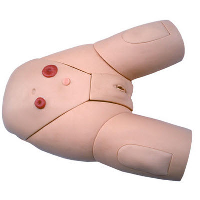 高級女性導(dǎo)尿模型