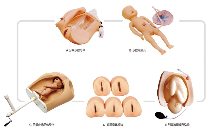 高級腹部觸診、分娩機轉(zhuǎn)綜合模型