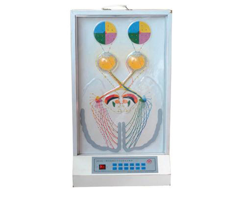視覺傳導(dǎo)瞳孔對光反射電動(dòng)模型