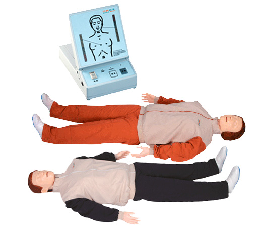 GD/CPR200S高級(jí)心肺復(fù)蘇訓(xùn)練模擬人(全身)