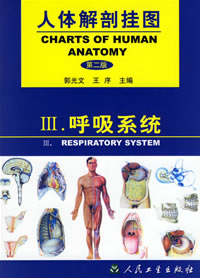 呼吸系統掛圖