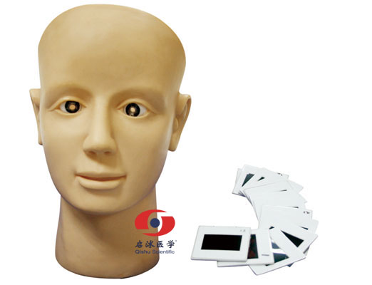 高級眼內(nèi)視網(wǎng)膜病變檢查模型 LV14