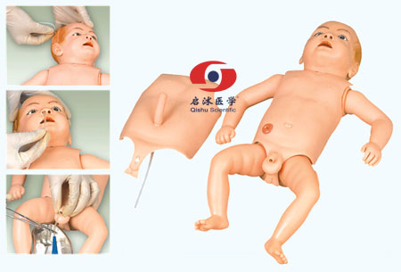 高級嬰兒護(hù)理人模型