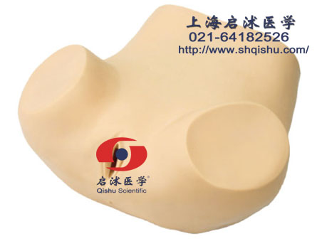 高級(jí)婦科訓(xùn)練模型