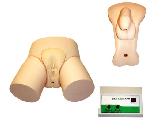 電子檢測(cè)男性導(dǎo)尿模型