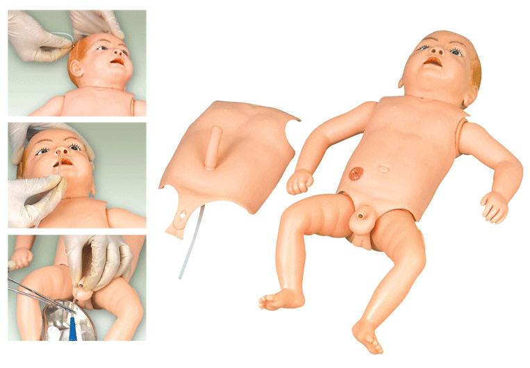 嬰兒導尿灌腸模型