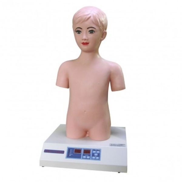 小兒心肺聽(tīng)診模型