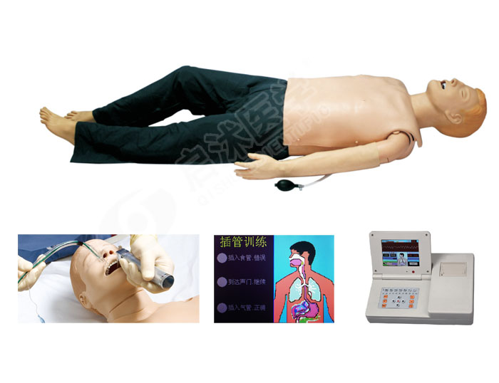 高級多功能急救訓(xùn)練模擬人（心肺復(fù)蘇CPR與氣管插管綜合功能）