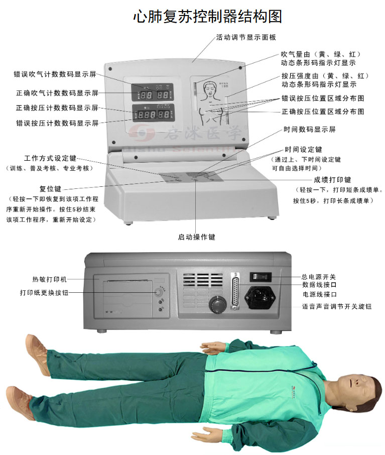 心肺復蘇模型