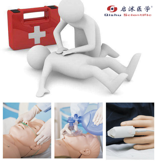 上海啟沭醫(yī)學心肺復蘇模型