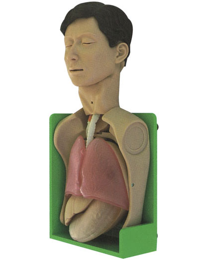 透明洗胃、胃腸減壓仿真標(biāo)準(zhǔn)化病人