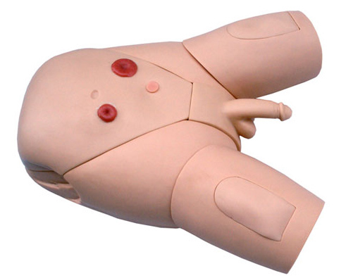 高級男性導尿模型